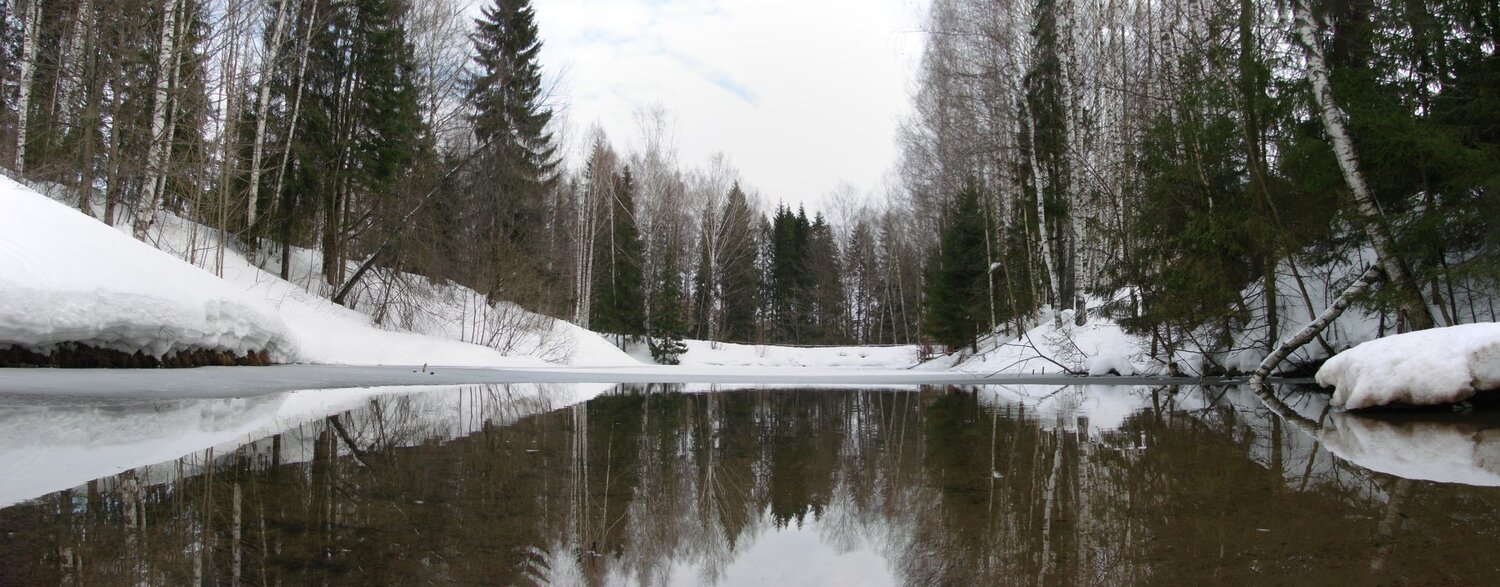 Весенний пруд