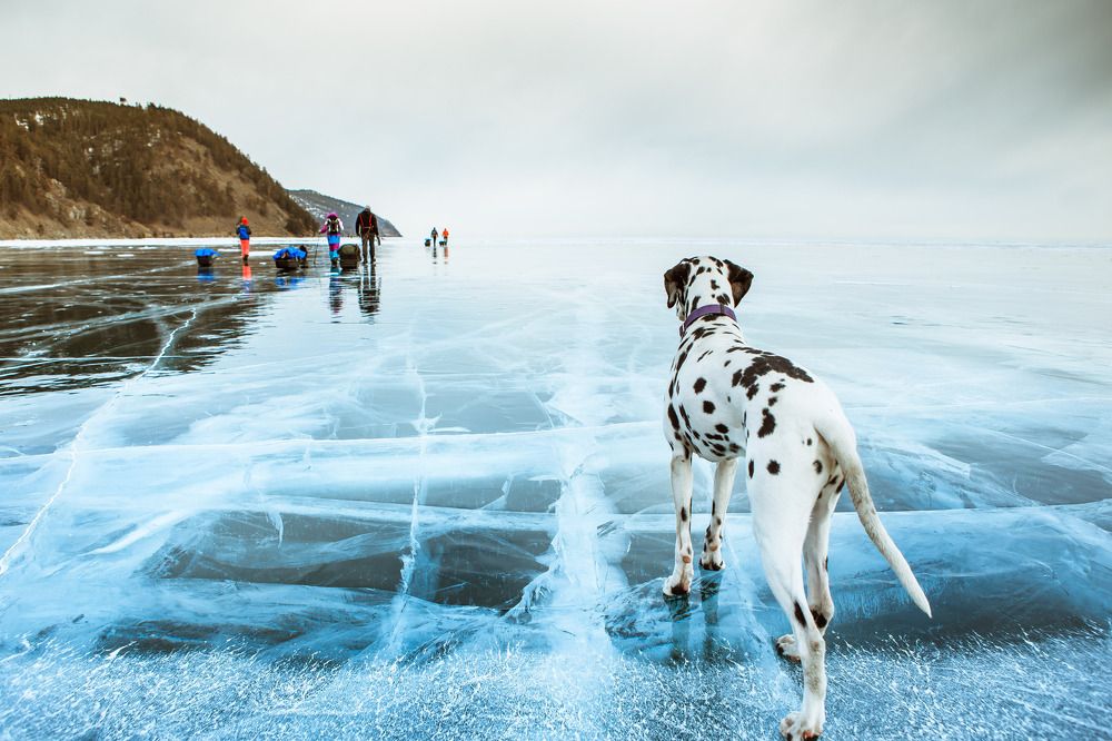 Нам по пути.