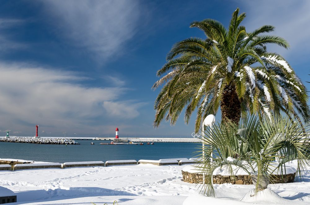 Тропический снег