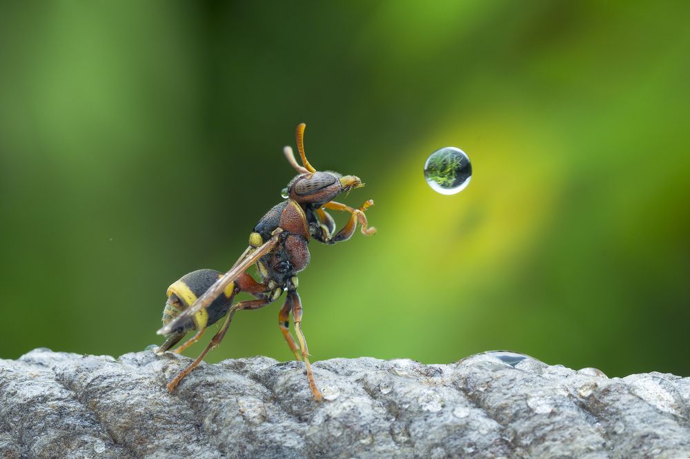 U Blowing It , I Freezed It