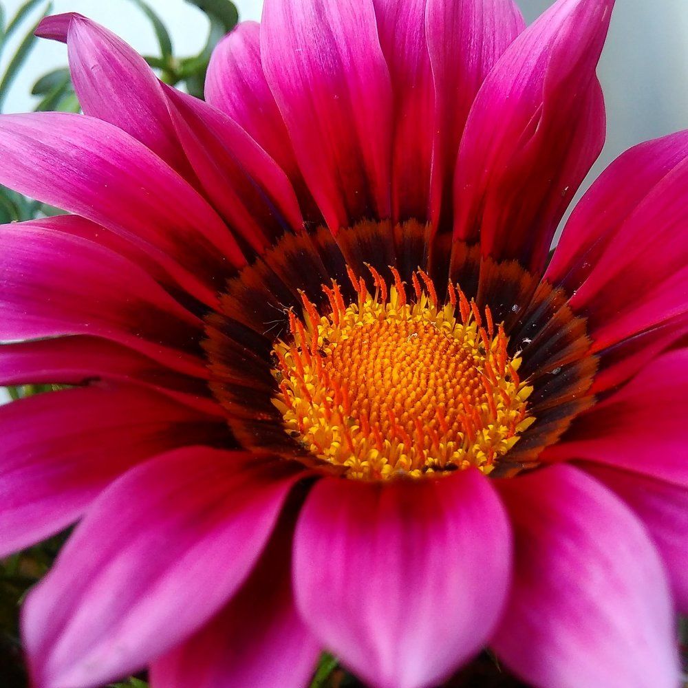 Mi photography