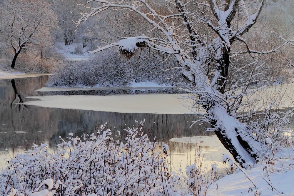 Мохнатая зима