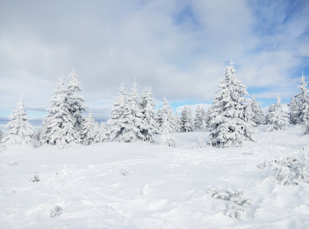 Зимняя Сказка