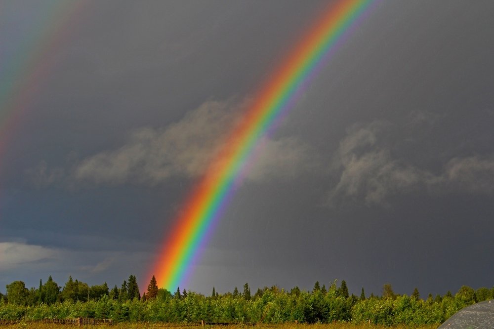 Радуга – радуга, лента разноцветная!