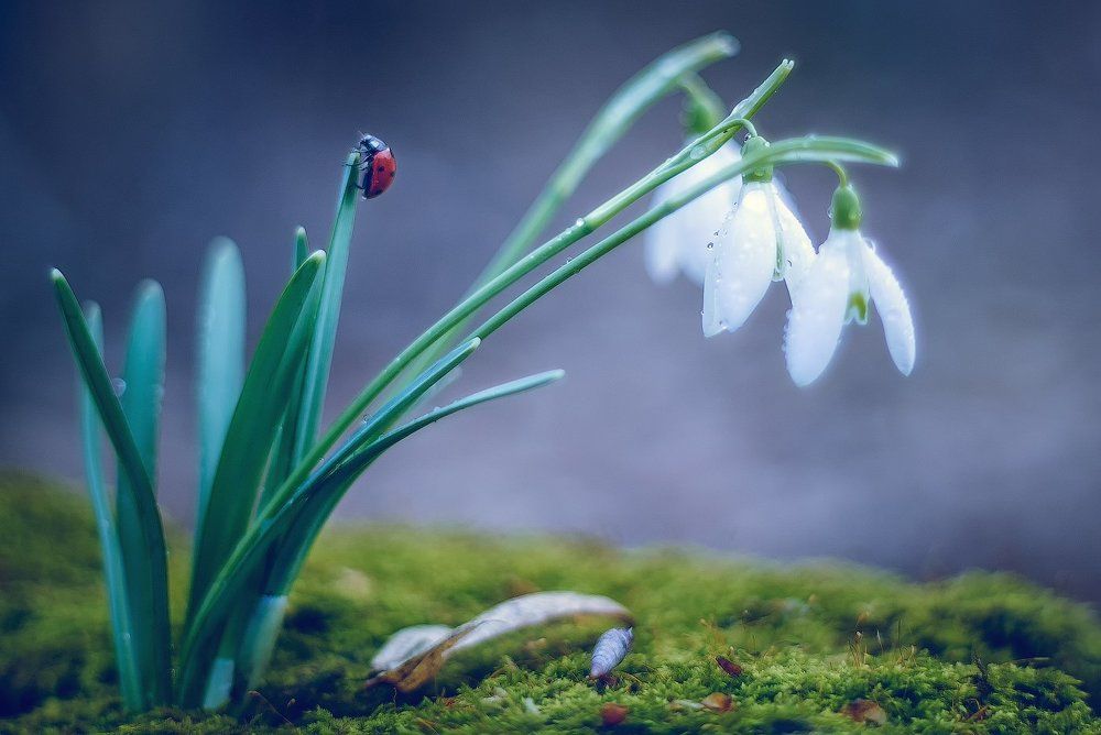 Весна...Все просыпается