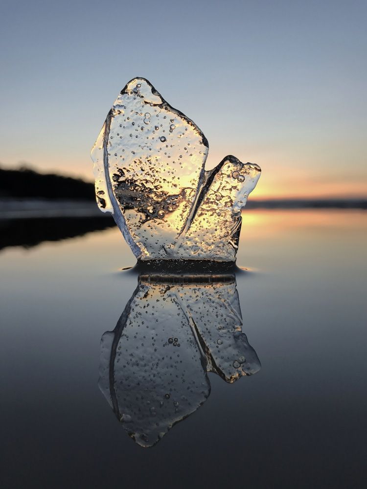 Морская Бабочка