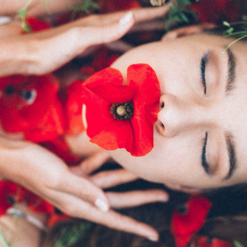 алых бабочек развернутые крылья