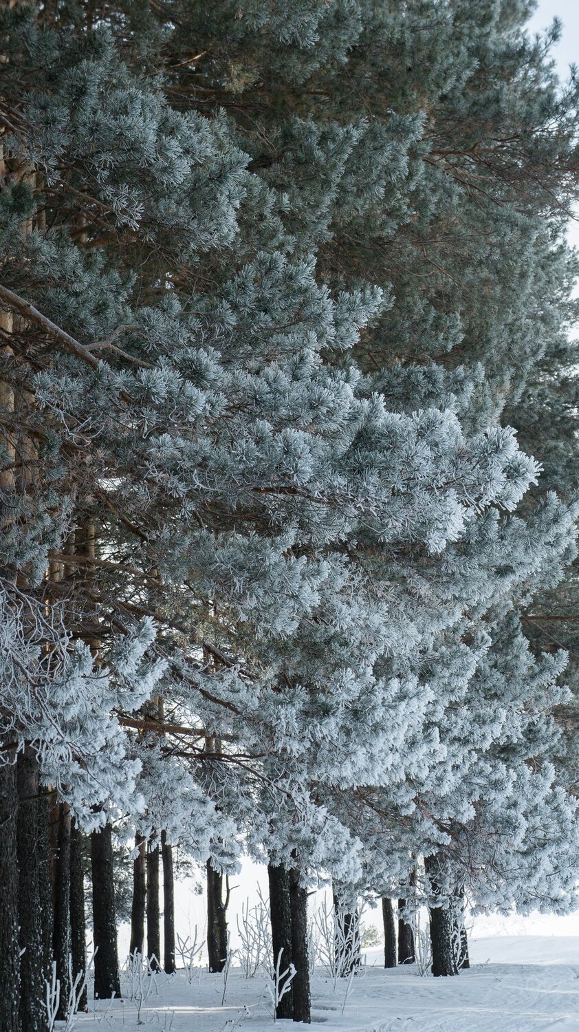 Начало весны