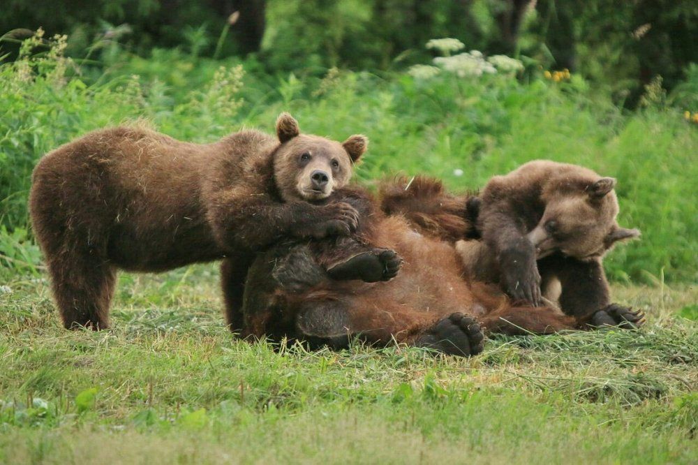 - Это моя мама!