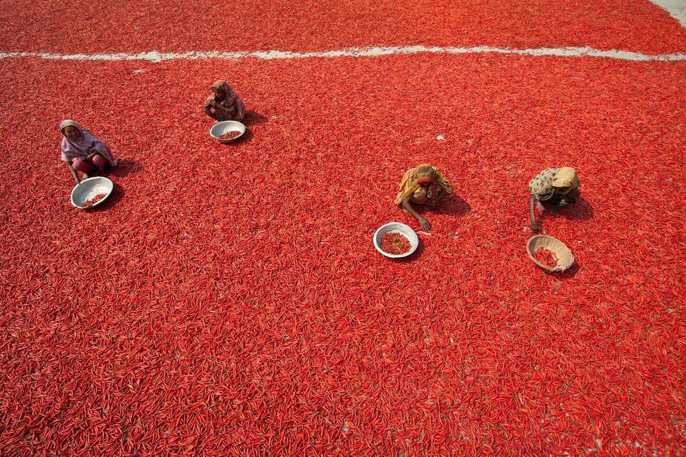 red chilli