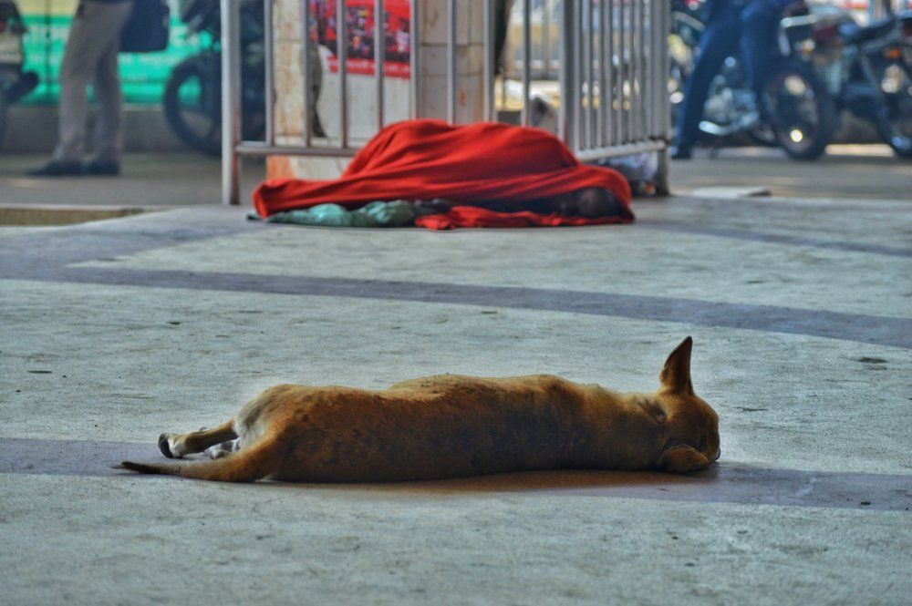 Life at Kamalapur Railway station.
