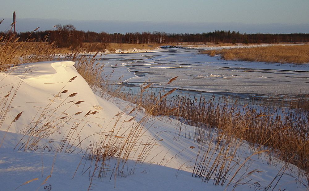 Февраль. Предчувствие весны.