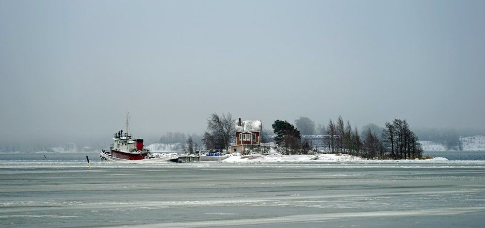 Зимовка