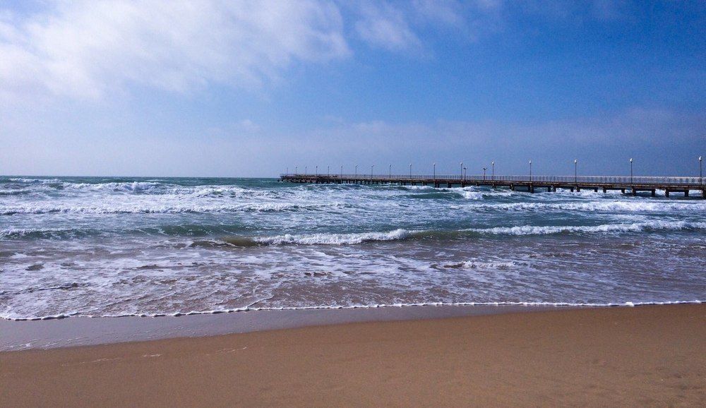 Photograph by Полина Синельникова