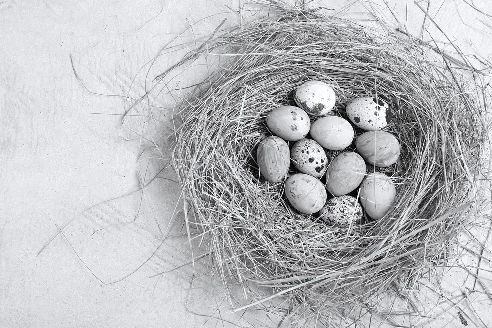 жизнь продолжается