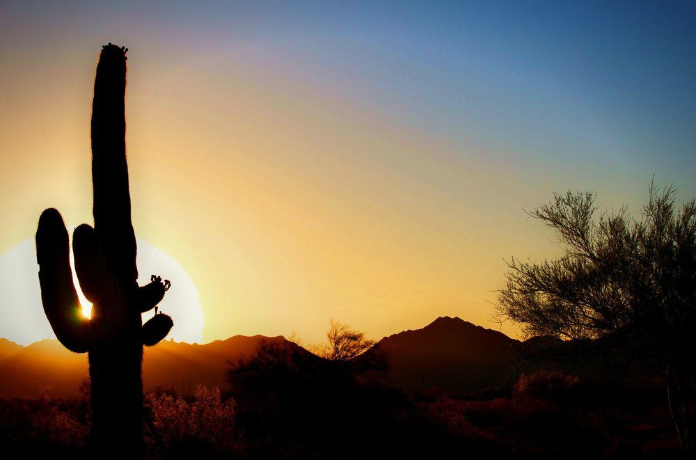 Sonoran Sunrise