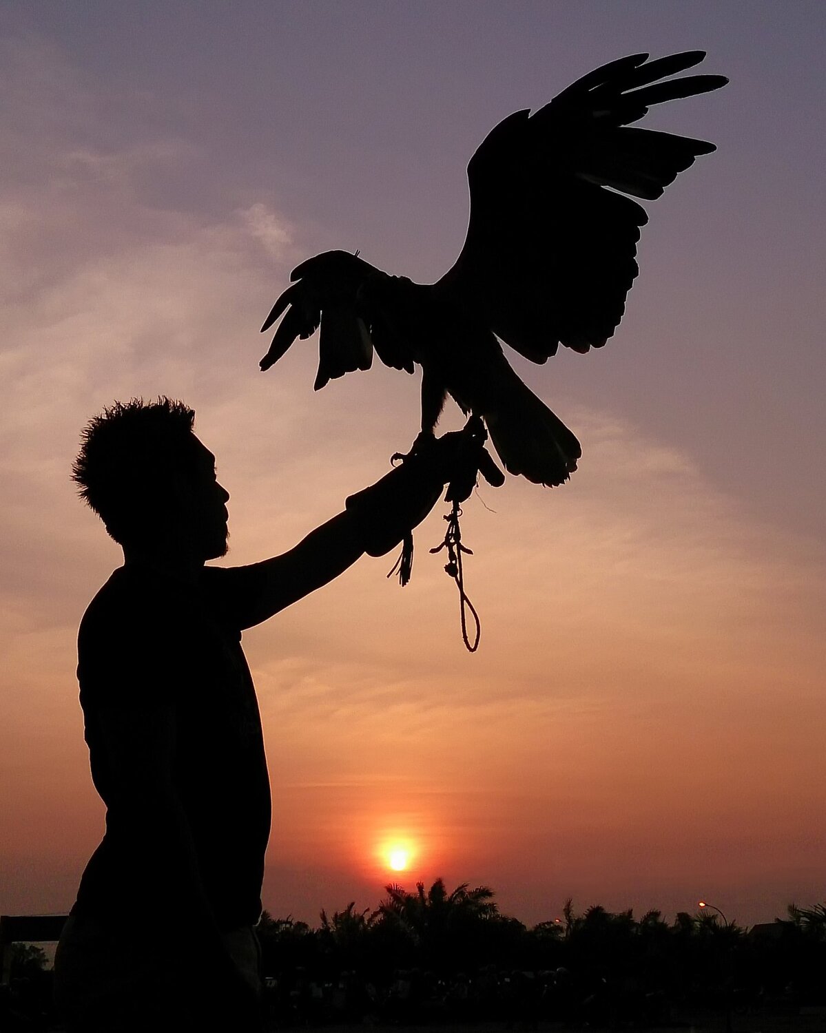 fly like an eagle