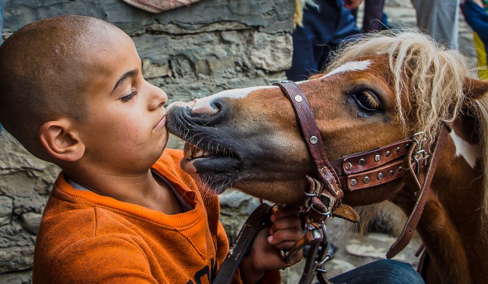 любовь пони