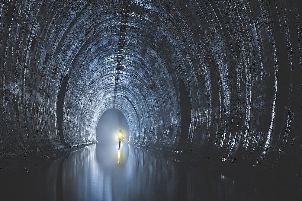 Логово дождевого червя