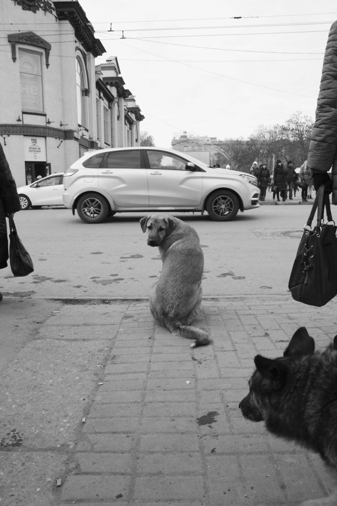 Photograph by Анна Пономарева
