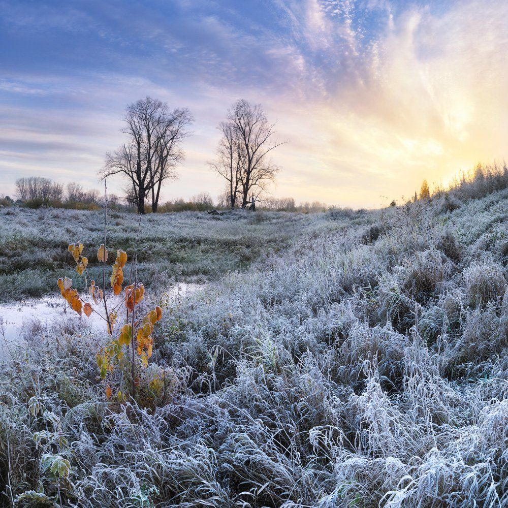 Первые заморозки