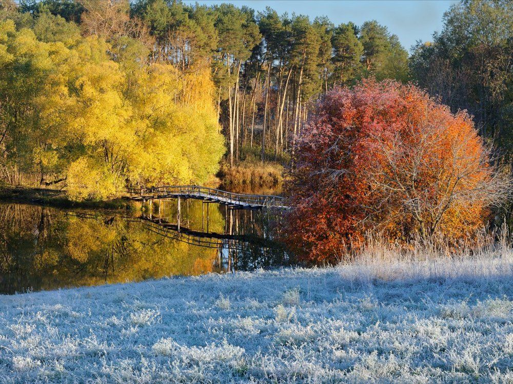 Встреча зимы и осени