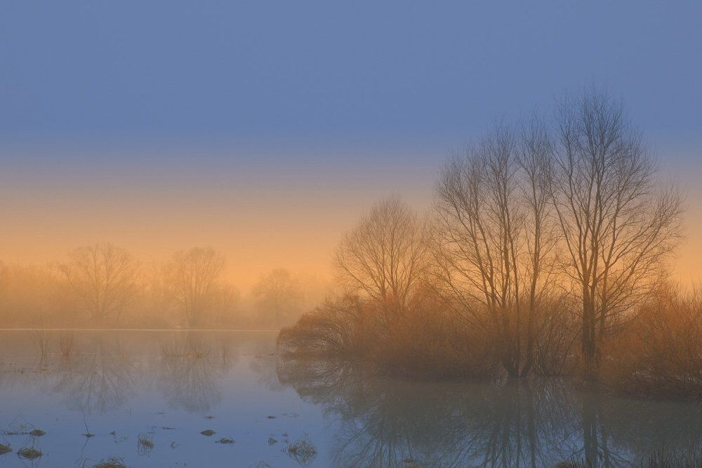 Тишина половодья...