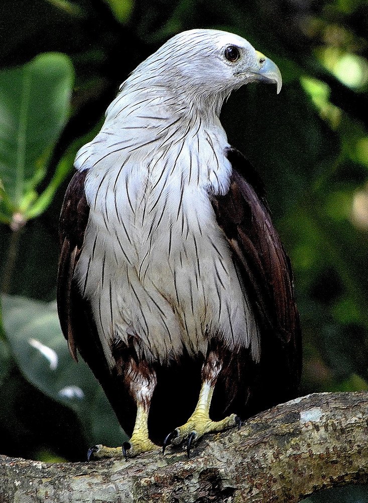 watching.................