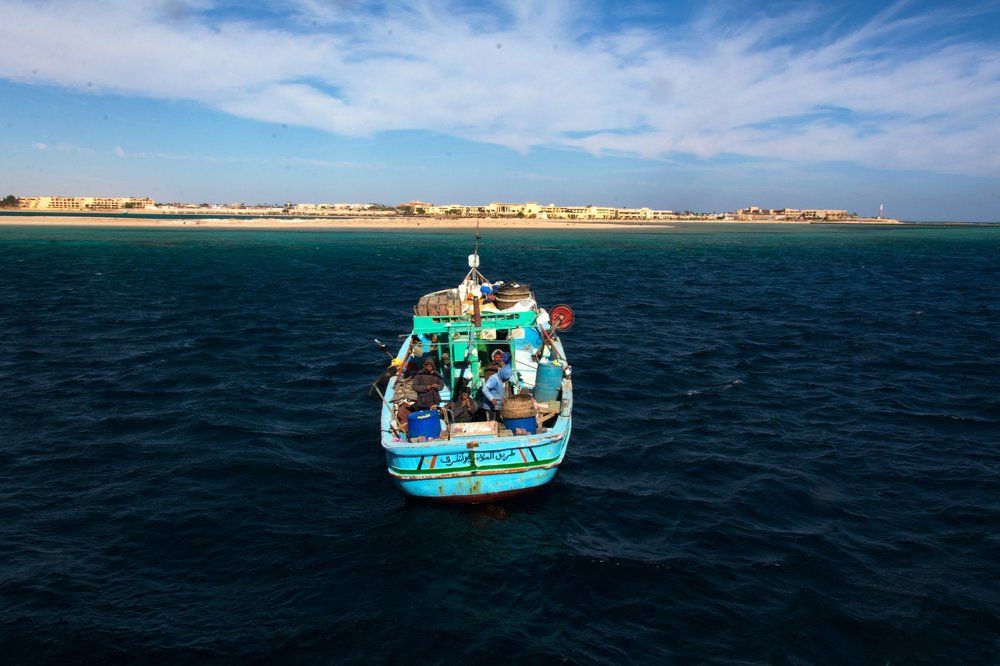 Фотография автора Алена