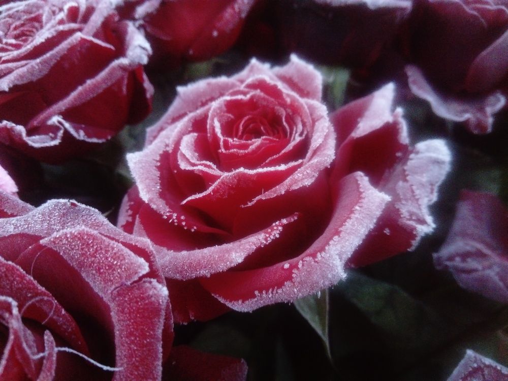 Photograph by Валерий Гудков