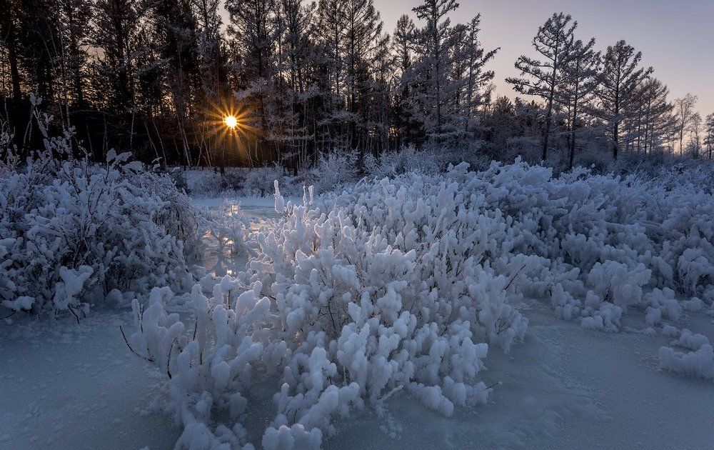 Photograph by Комеров Роман