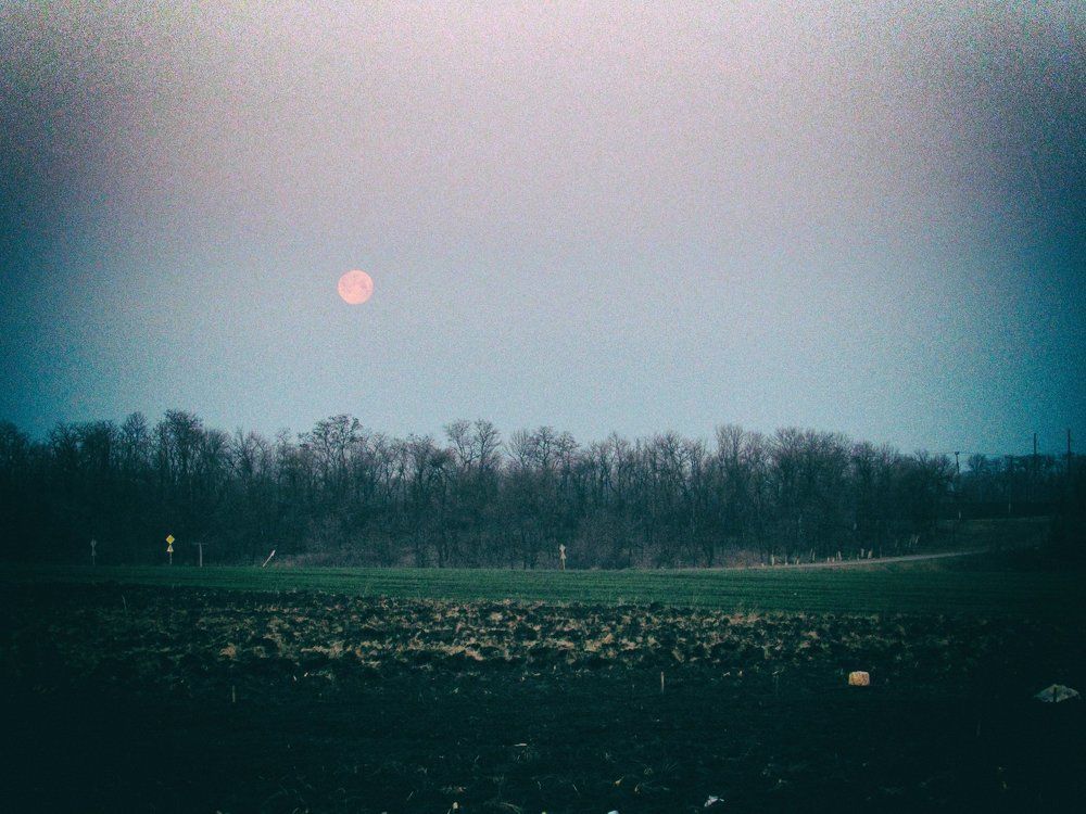Early morning