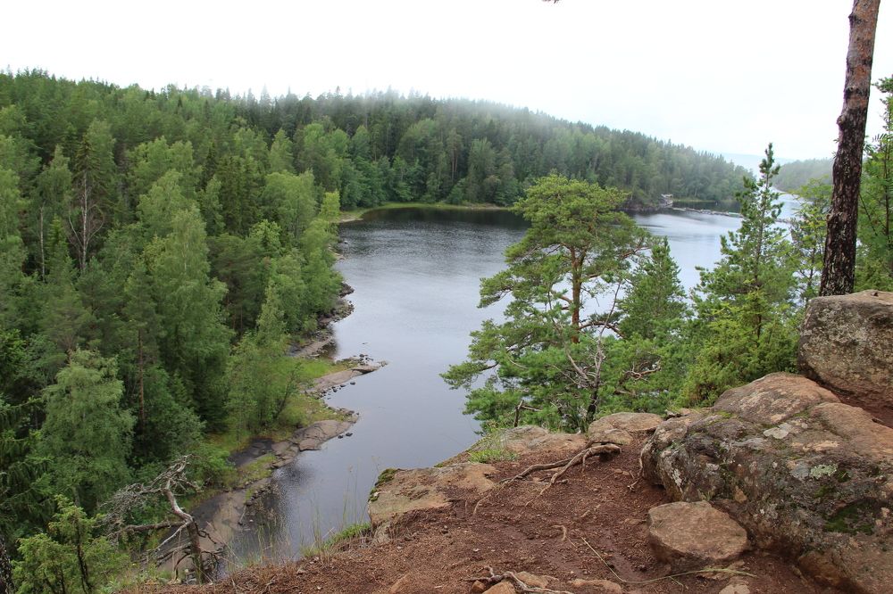 Photograph by Маргарита