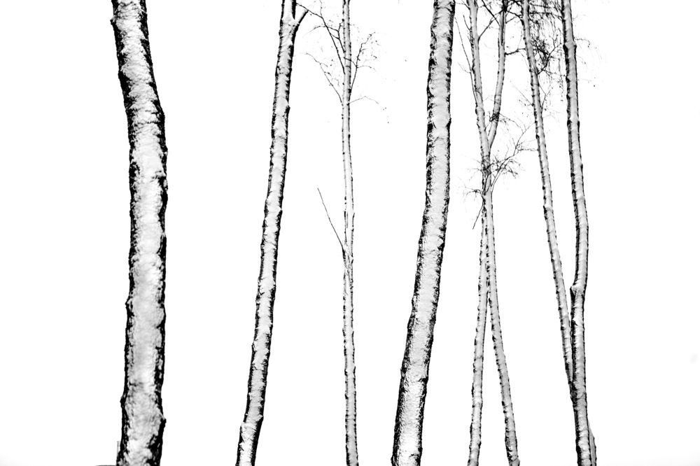 зимняя графика