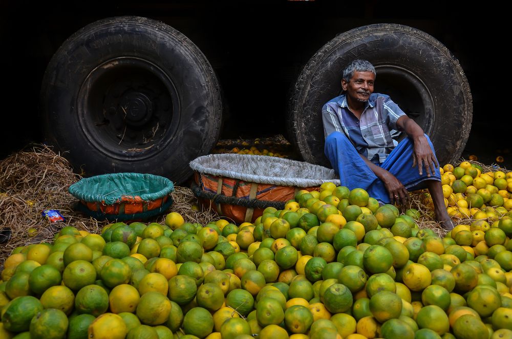 Fruit Seller