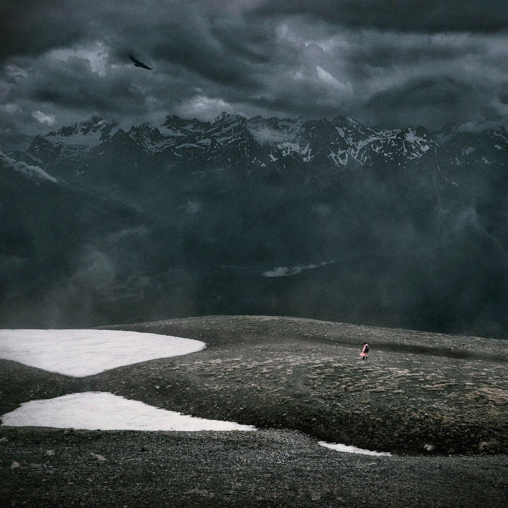 Wild Highlands