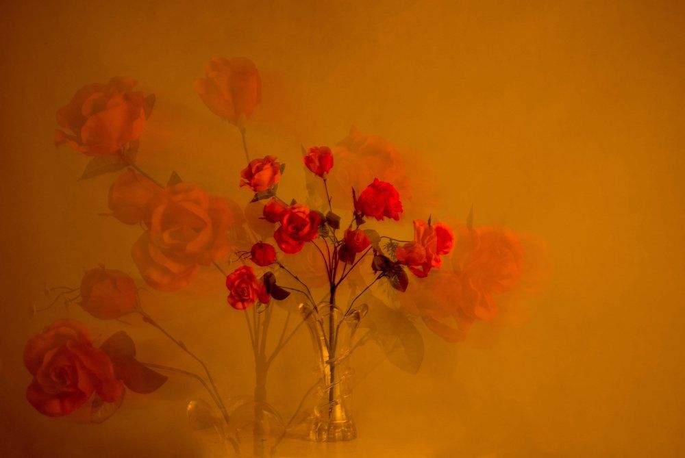 Дарите женщинам цветы