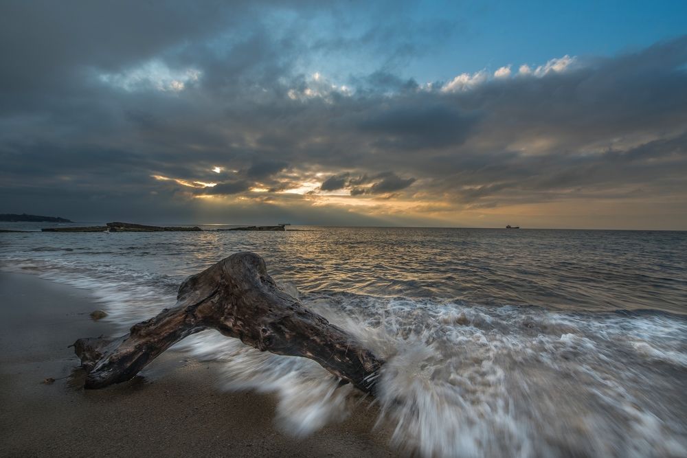 Фотография автора stoyan pavlov