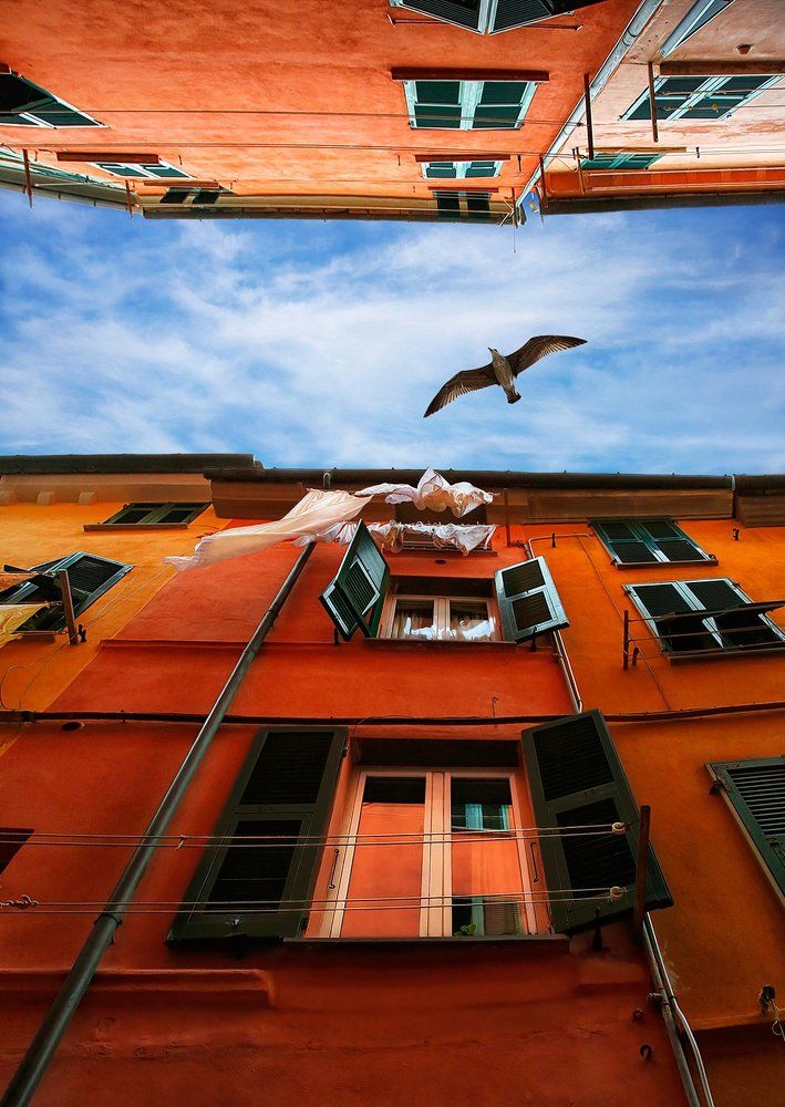 Дневной дозор