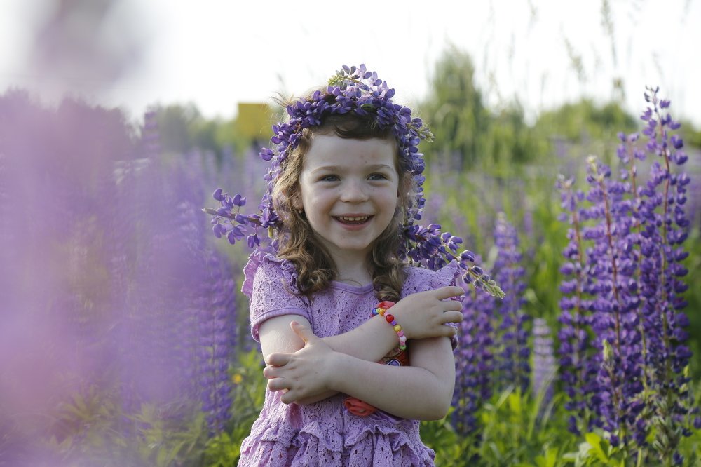 Прогулка в люпинах