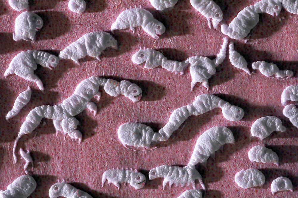 Глазами ребёнка...