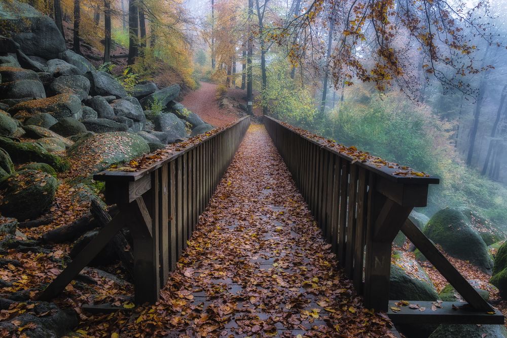 Осенний этюд