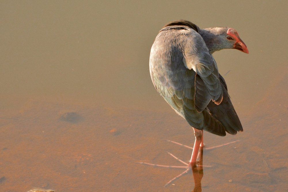 Life is lived forward but is judged in reverse.