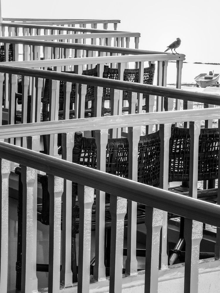 confused in a zigzag