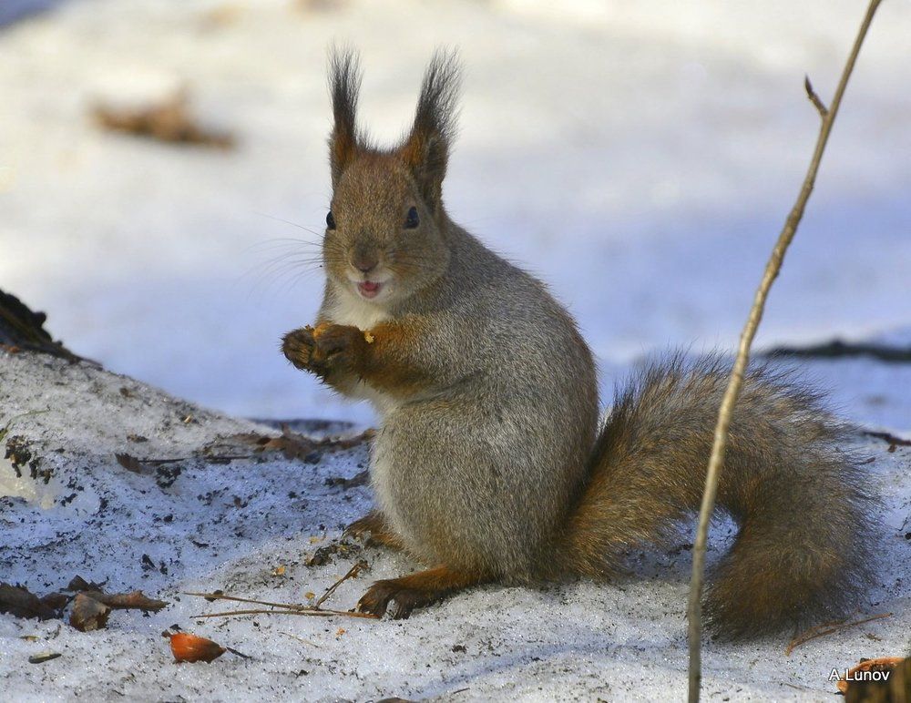 Улыбочку! Так и нету проблем...