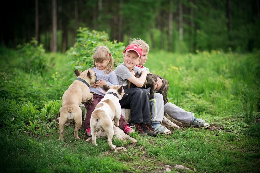 Братья наши меньшие