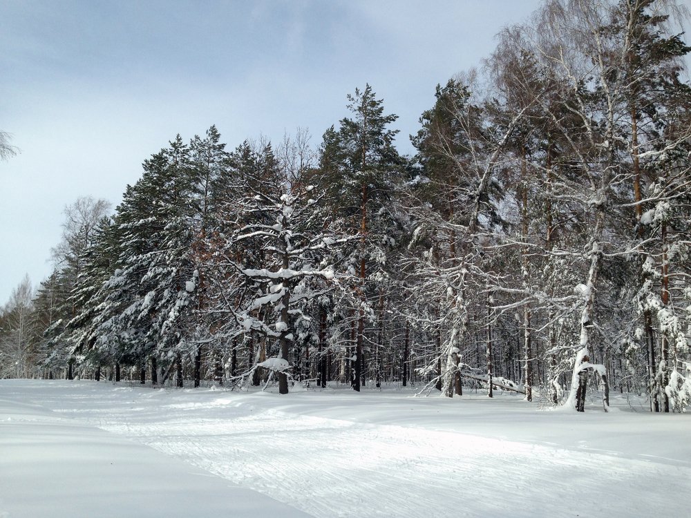 Живописная лыжня