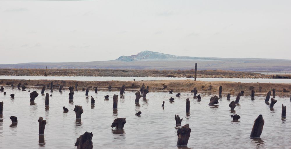 Богдо в рождественские каникулы