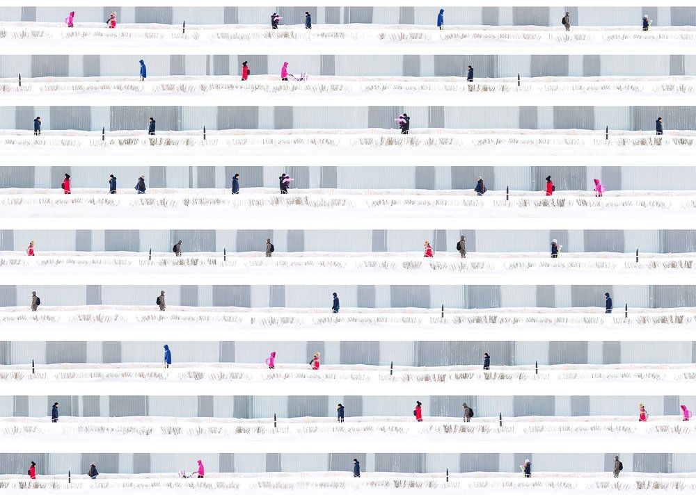 муравейник 1