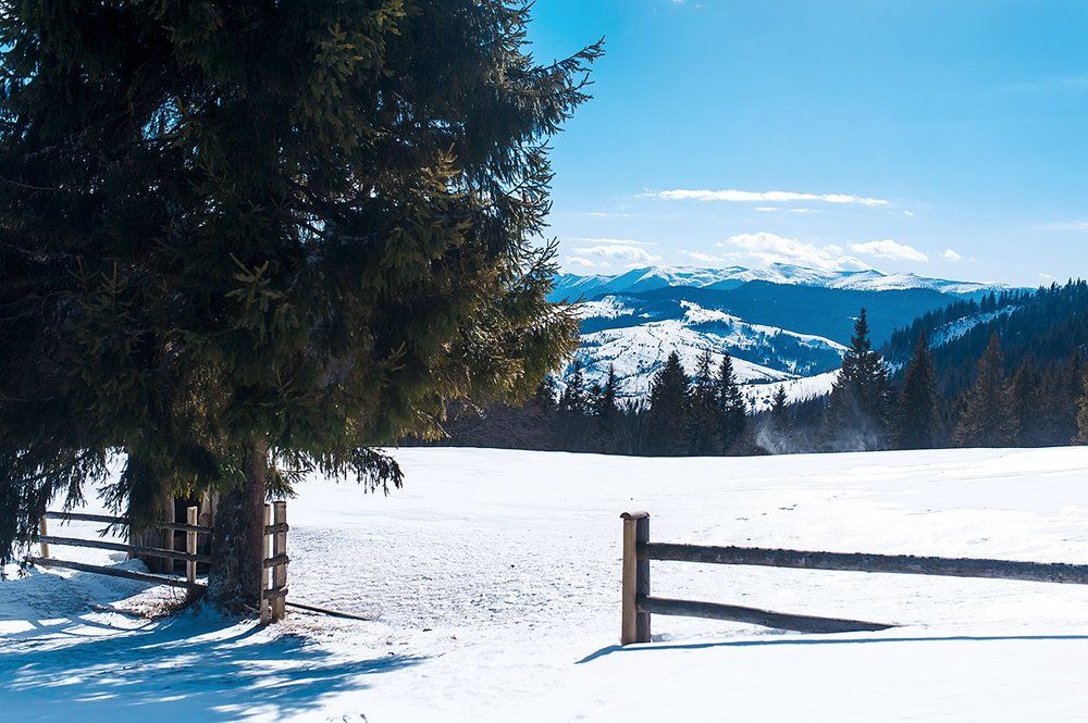 Добро пожаловать в Карпаты